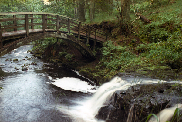 GalleryImage255535.jpg